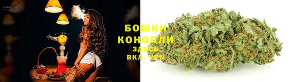 стаф Красноперекопск