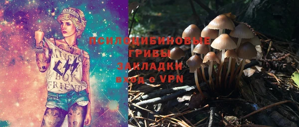 дмт Краснослободск